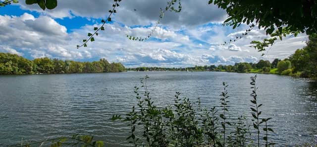 Elfrather See Aussichtspunkt - Image 1