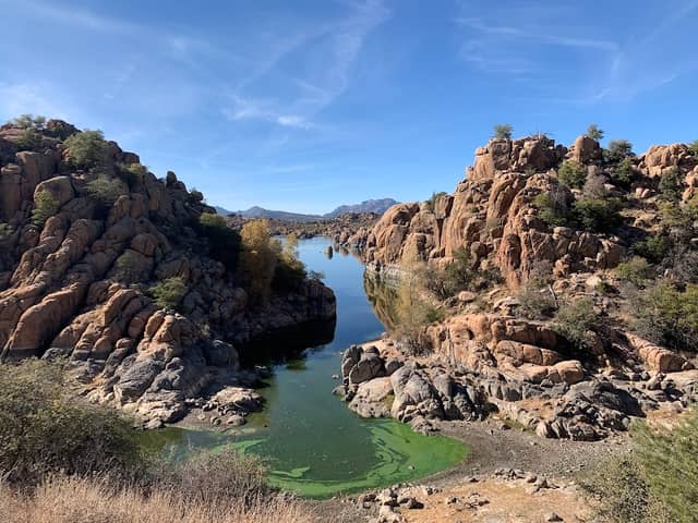 Dragon Fly Cove - Image 3
