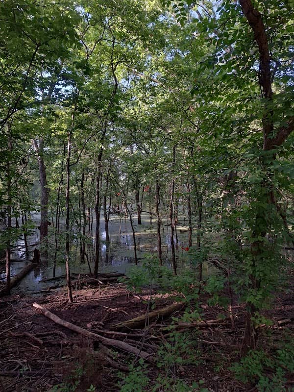 West Sentinel walkway - Image 2