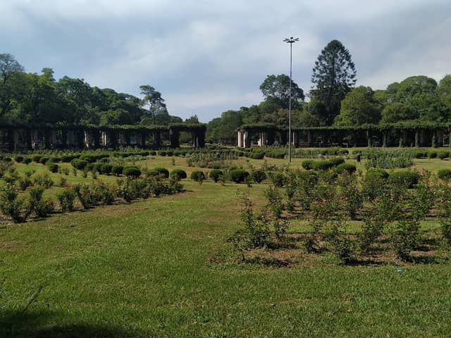 El Rosedal - Image 1