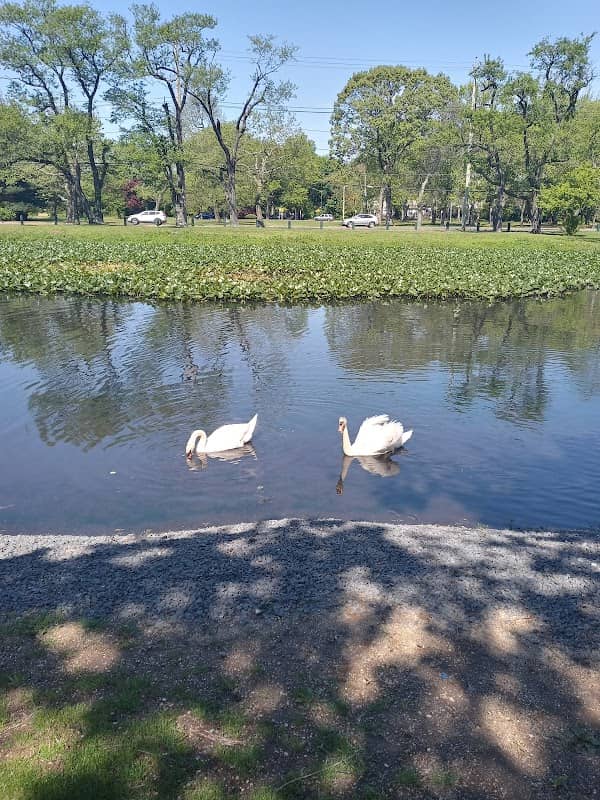 Mill Pond - Image 1