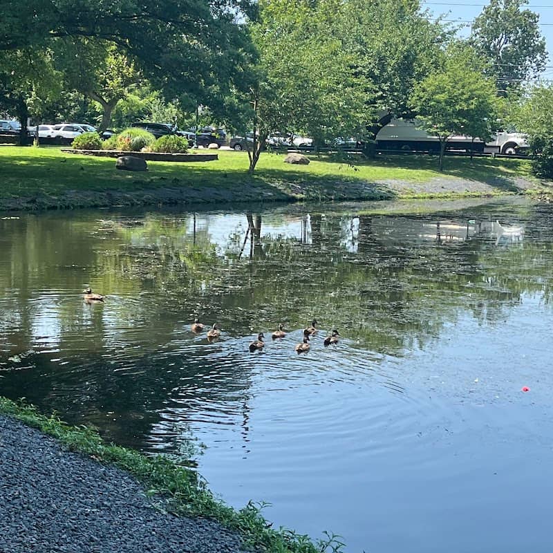 Mill Pond - Image 2