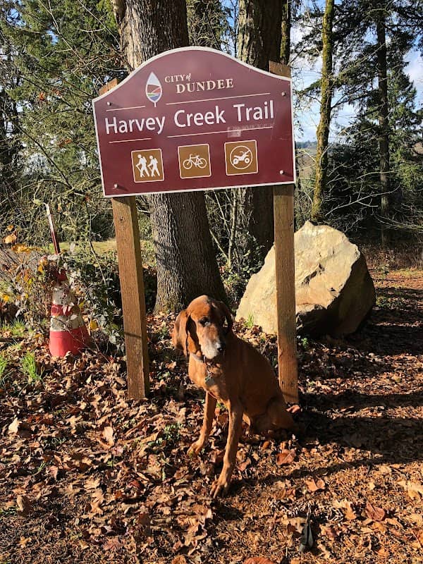 Harvey Creek Trail - access beside Pioneer Cemetery - Image 1