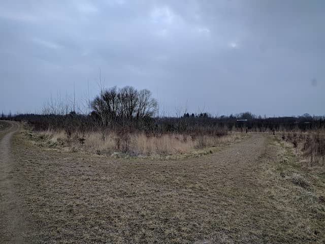 Bavnedam - Image 2