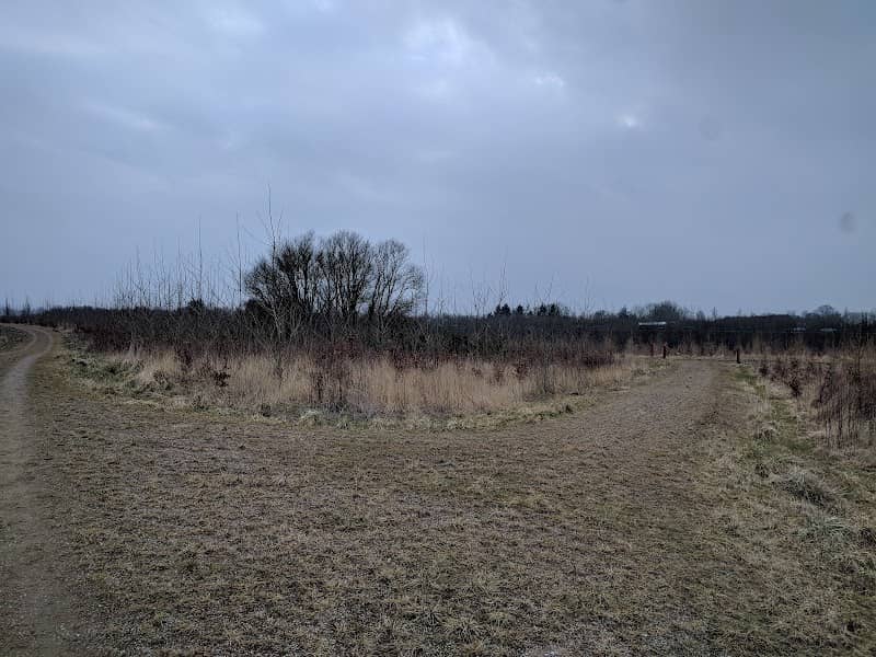 Bavnedam - Image 2