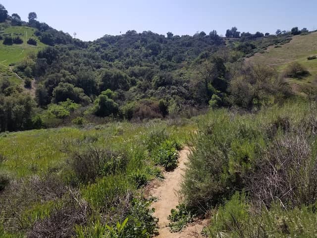 Powder Canyon - Image 4