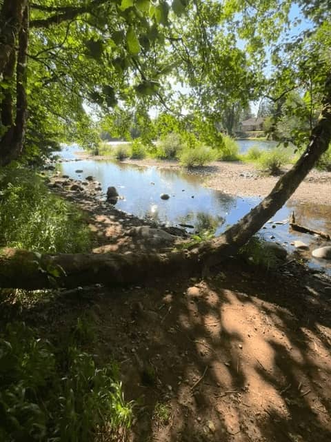 Kimmel Park Play Area #2 - Image 2