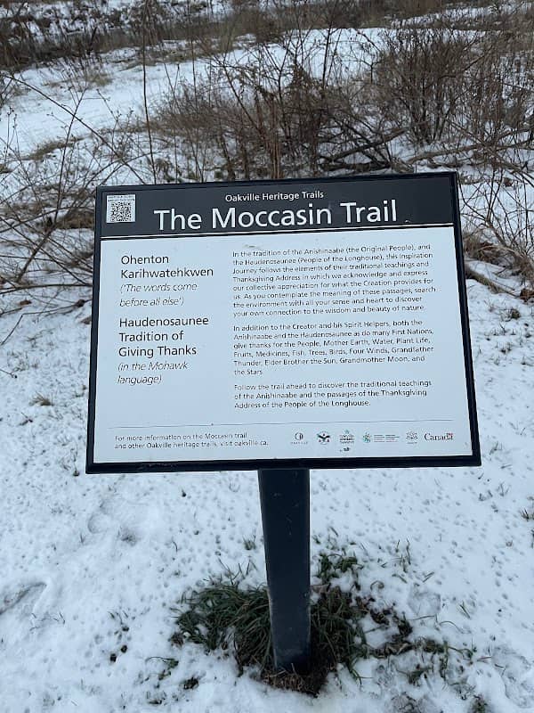 The Moccasin Trail - Image 1