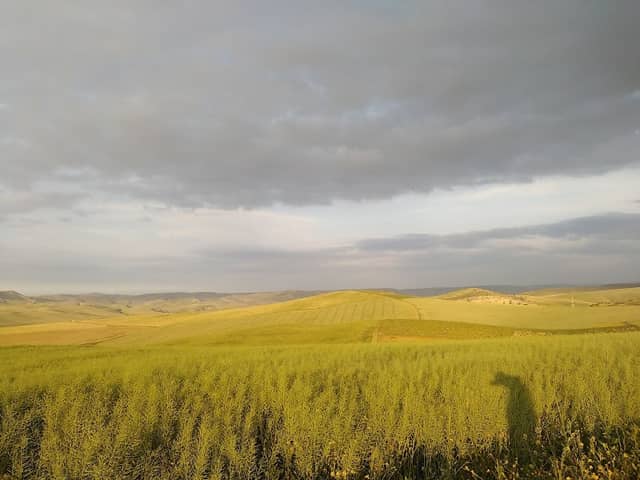 عين الحجر - Image 1
