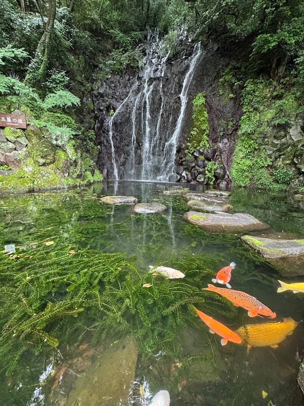 Ring Waterfall - Image 2