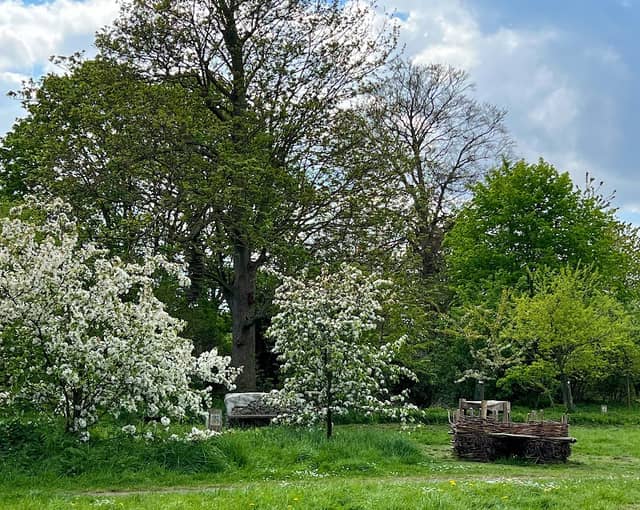 The Nettles - Image 2