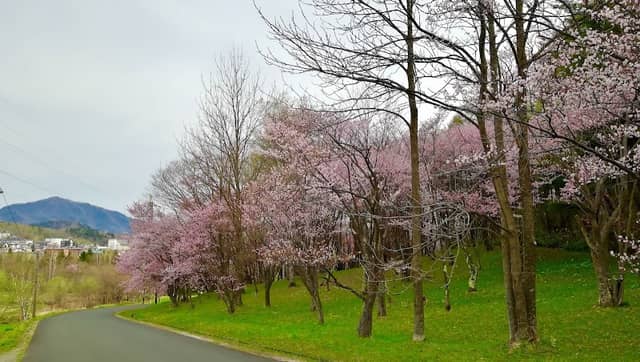 Asahigaoka Park - Image 3