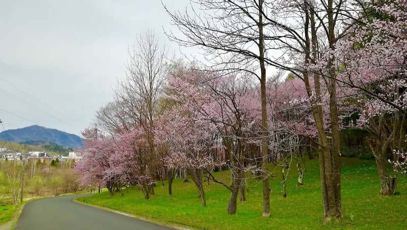 Asahigaoka Park - Image 2
