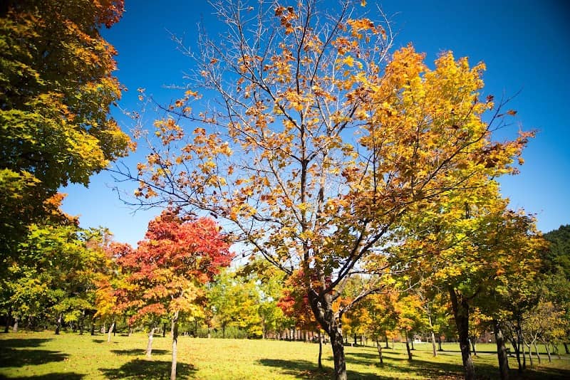 Asahigaoka Park - Image 1