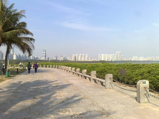 Mangrove Lin Haibin Park - Image 1