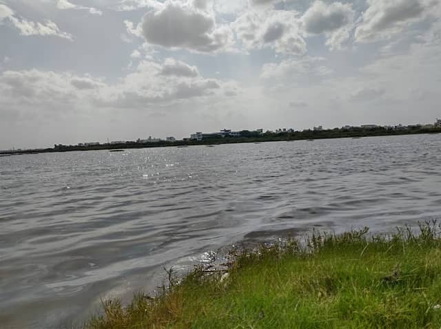 Korattur Lake Island - Image 2