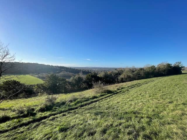 Pewley Down Nature Reserve - Image 3