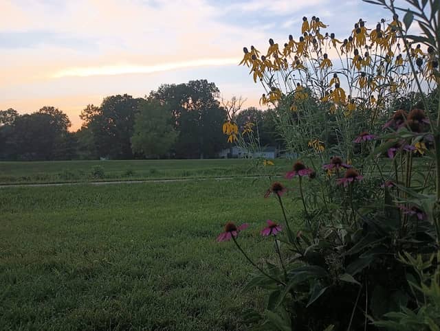 Deprin Park - Image 1