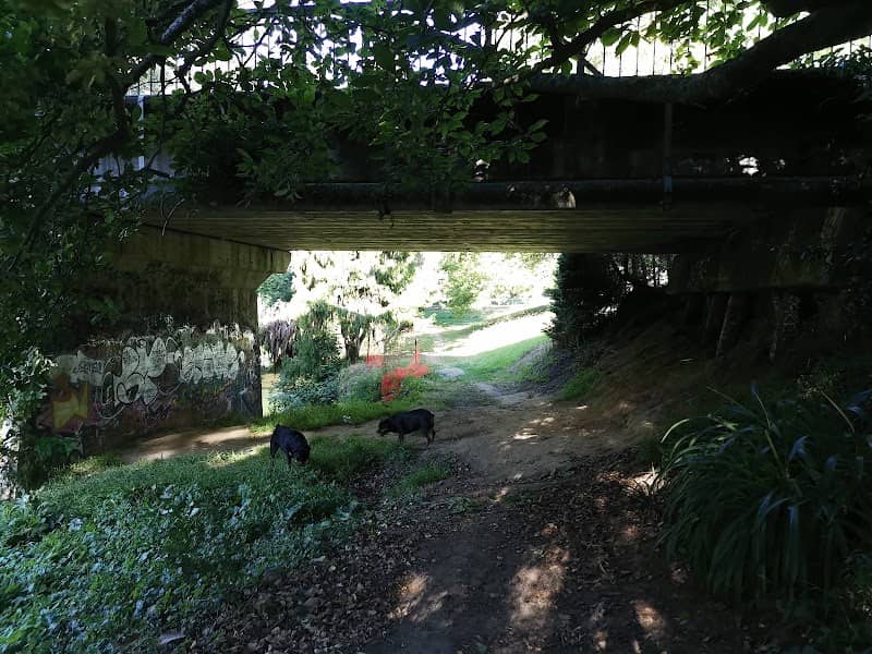 Eileen Montefiore Reserve - Image 1