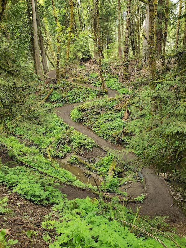 Mary S. Young Park - Image 2