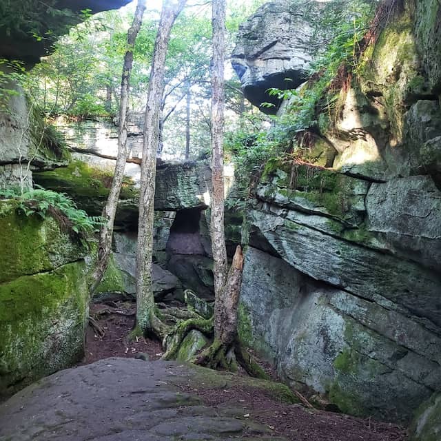 Bilger's Rocks - Image 1