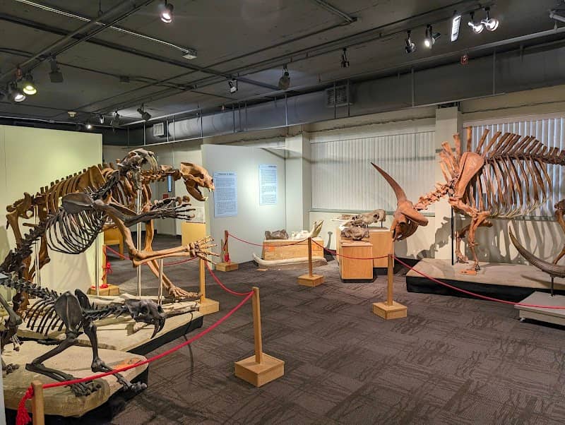 Idaho Museum of Natural History - Image 2