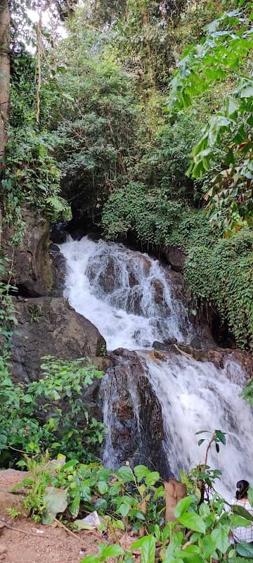 Arbi falls - Image 1