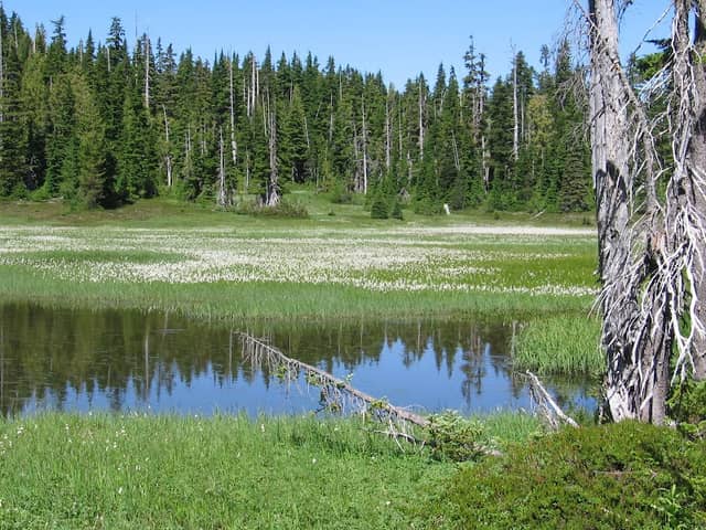 Mount Washington - Image 3