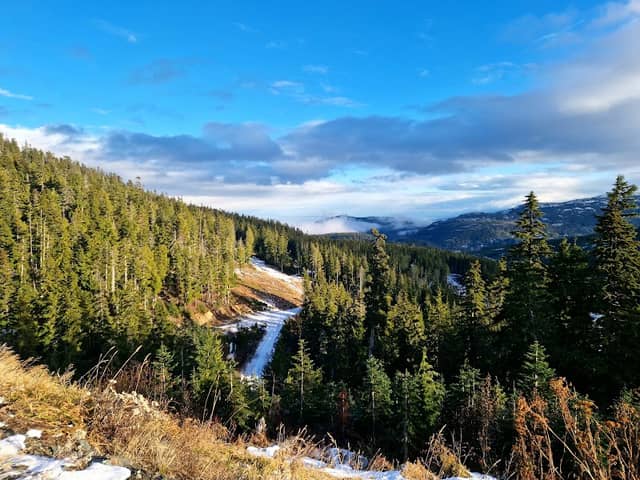 Mount Washington - Image 2