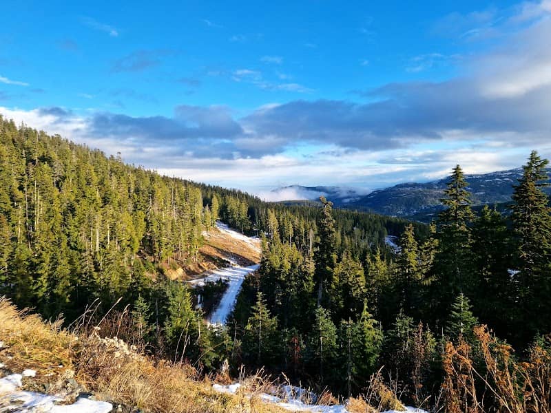 Mount Washington - Image 2