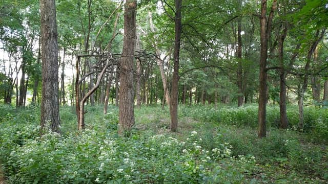 Willow Pond Park - Image 1