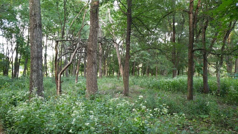Willow Pond Park - Image 1