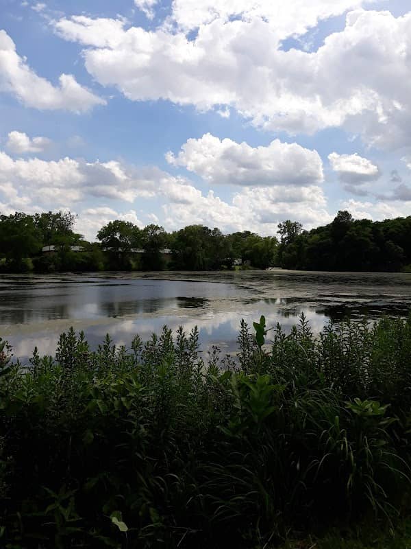 Willow Pond Park - Image 2