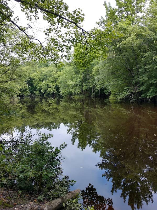 Idylwild Natural Area - Image 1