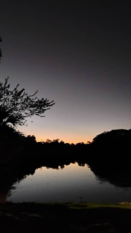 Audubon Park - Image 1