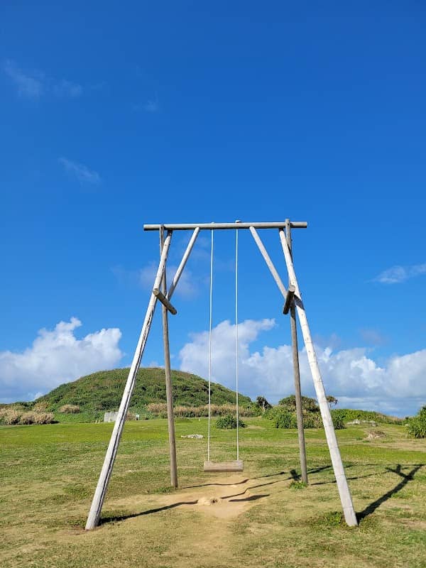 Giant Swing - Image 1