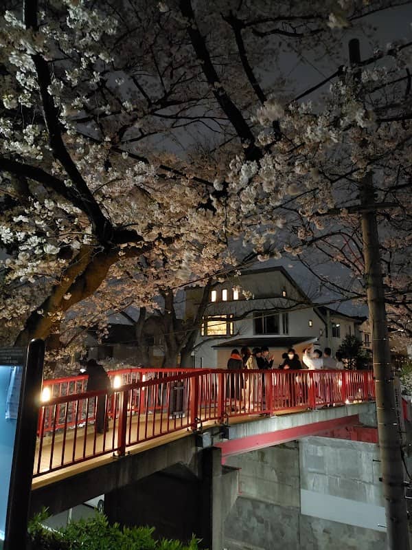 Sakura-zaka - Image 3
