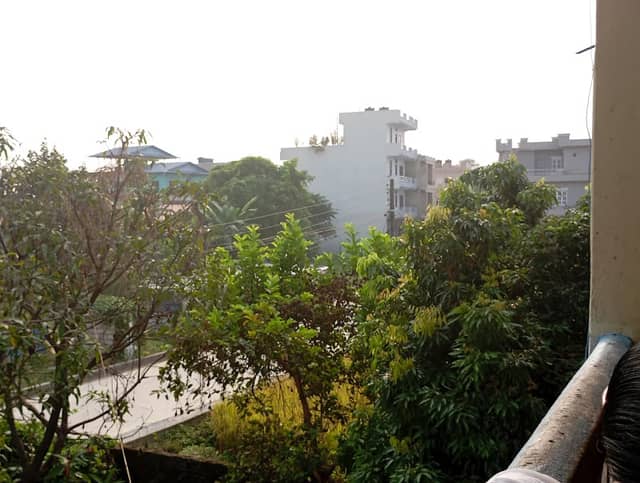 तोरीबारी - Image 1