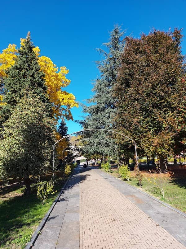Parchetto di Pralafera - Image 1