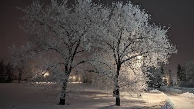 Mowat Park - Image 1