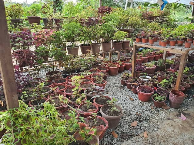 Nurhidayah Garden - Image 1