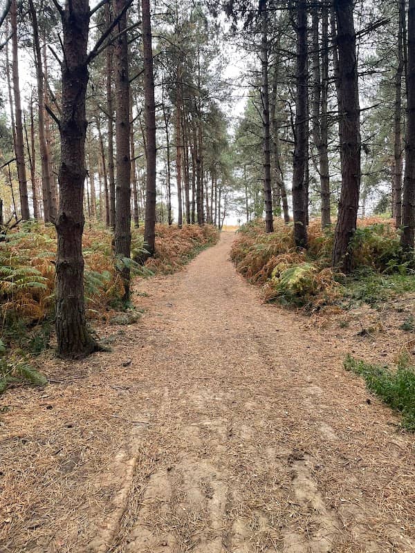 Haughmond Hill - Viewpoint - Image 2