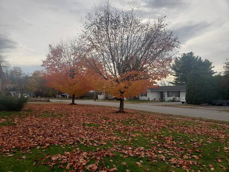 Cascade Park - Image 2