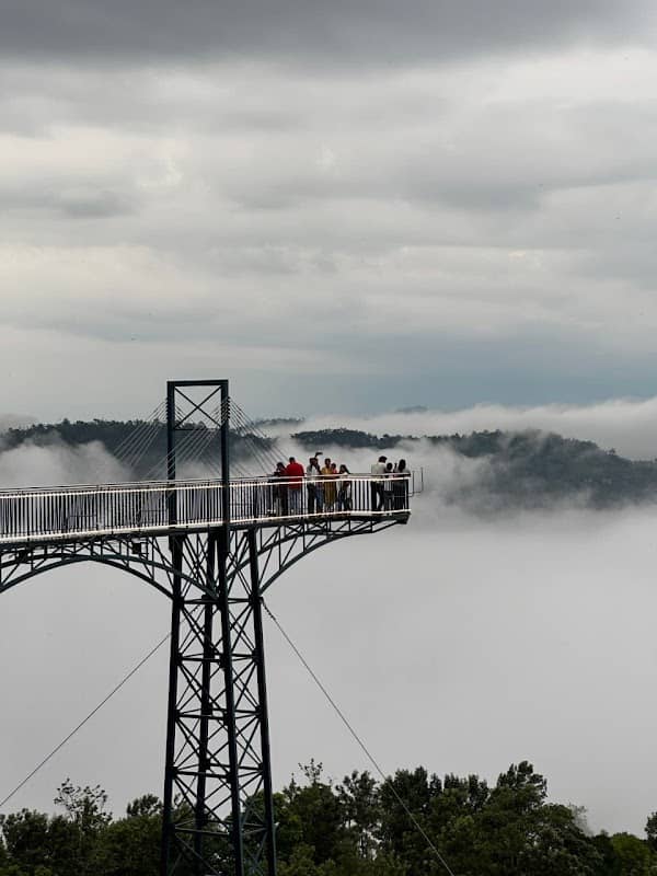 wayanad Glass Bridge Attamala - Image 1