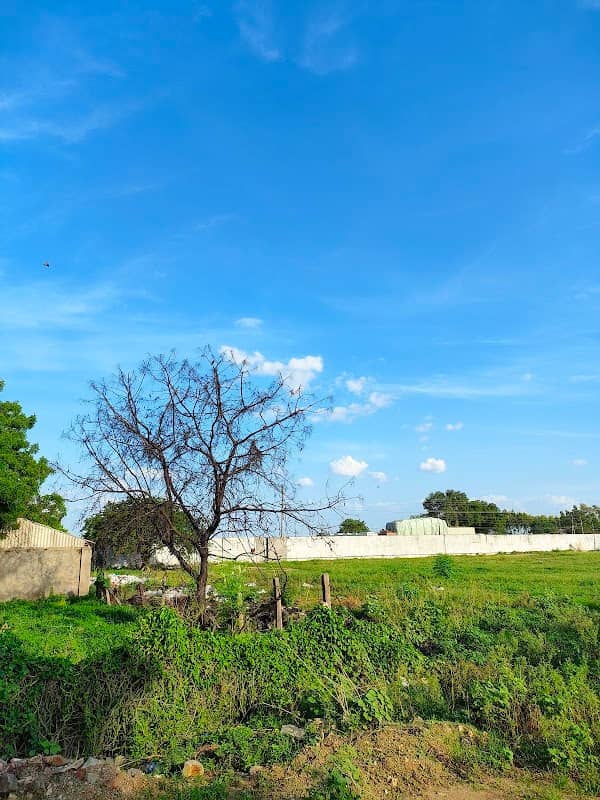 Thummala palem - Image 1