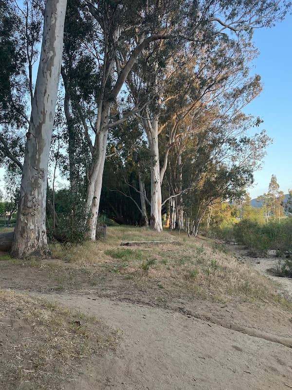 Sykes Ranch Park - Image 1