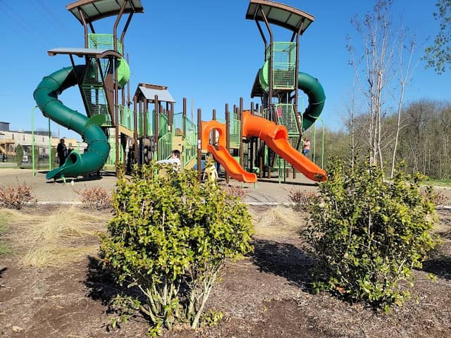 Forked Deer Park - Image 2