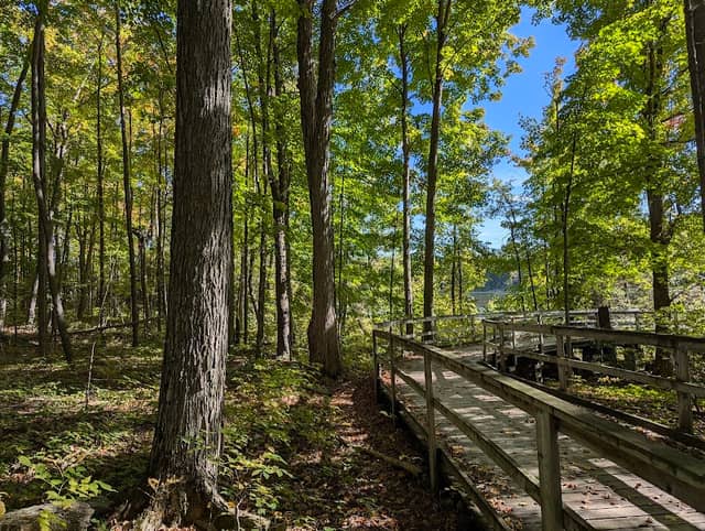 Nature outlook post. - Image 2
