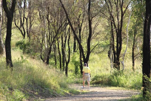 Loop trail - Image 2