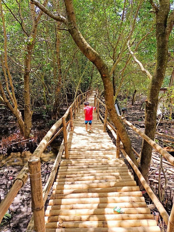 Malitam Mangrove Forest - Image 1